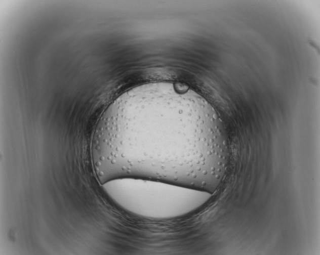 X0000097300359200802151128