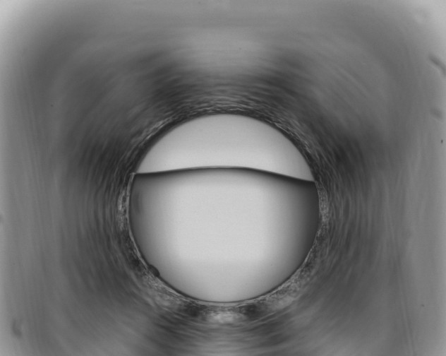 X0000097300360200802151128