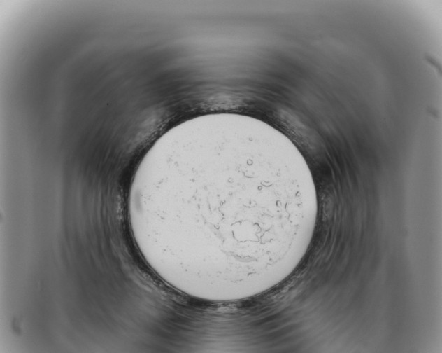 X0000097300362200802151128