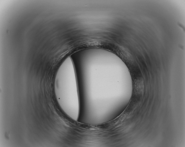 X0000097300364200802151128