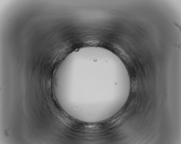 X0000097300365200802151128