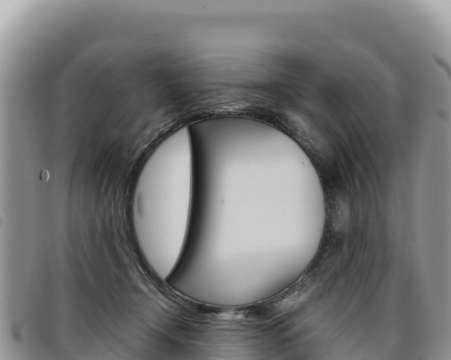 X0000097300366200802151128