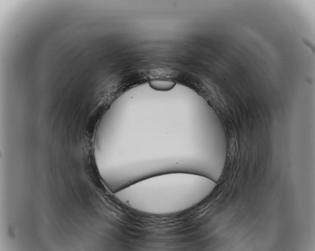 X0000097300367200802151128