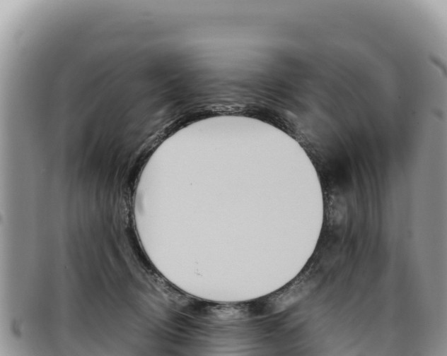 X0000097300370200802151128