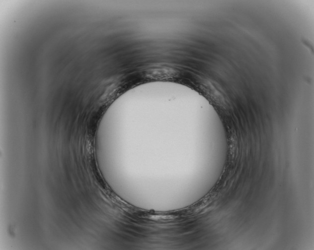 X0000097300371200802151128