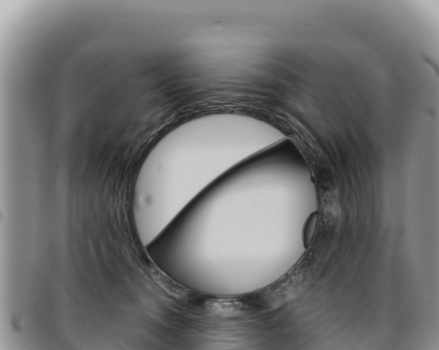 X0000097300372200802151128