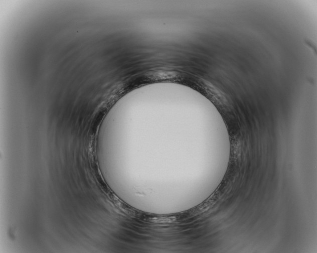 X0000097300373200802151128