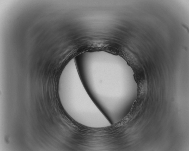 X0000097300376200802151128
