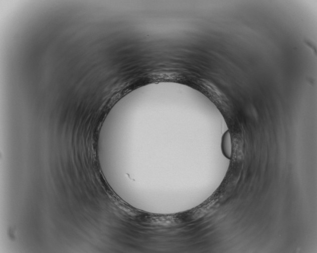 X0000097300377200802151128