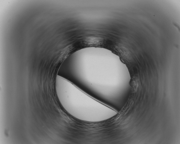 X0000097300379200802151128