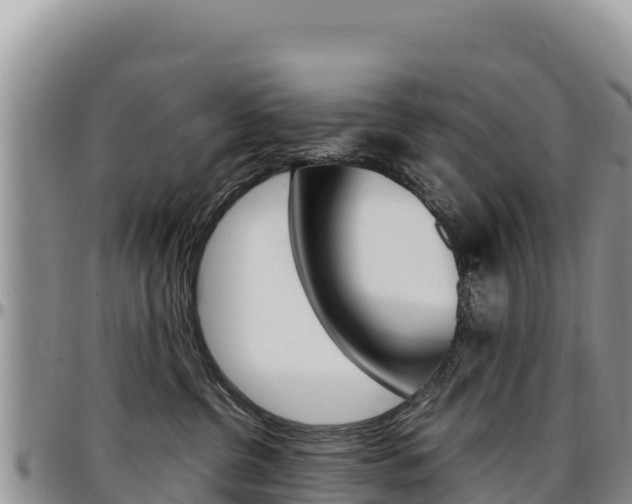 X0000097300380200802151128