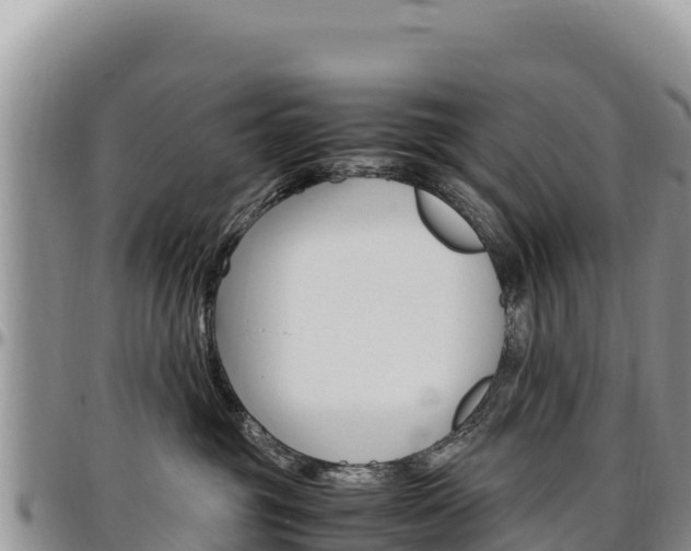 X0000097300381200802151128