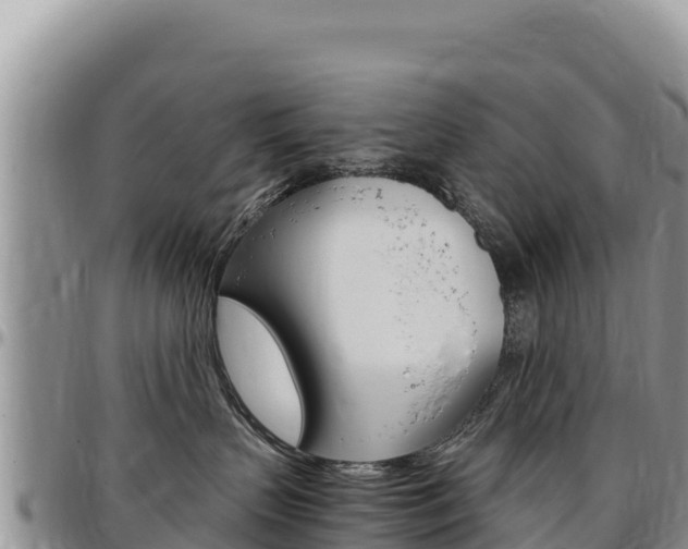 X0000097300383200802151128