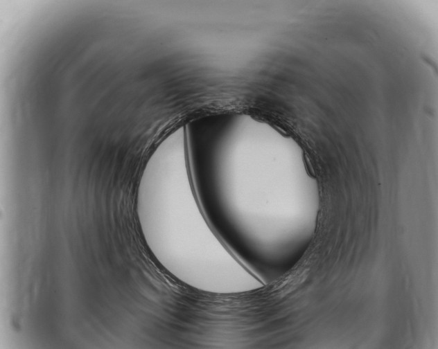 X0000097300384200802151128