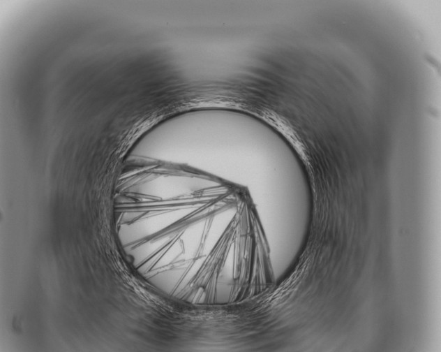 X0000097300385200802151127