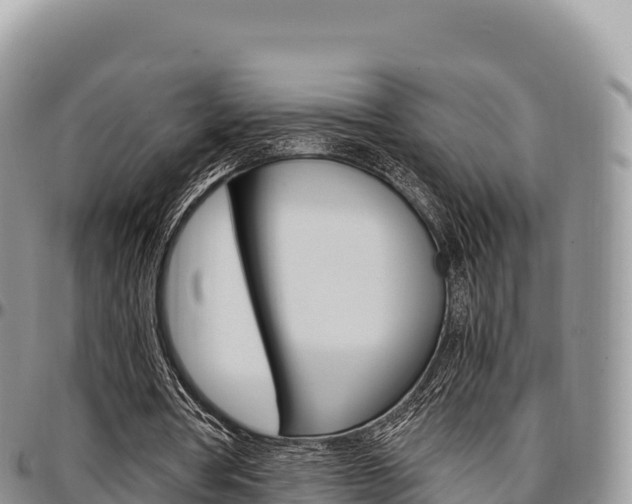 X0000097300386200802151127
