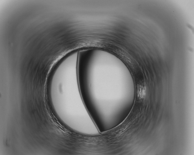 X0000097300388200802151127
