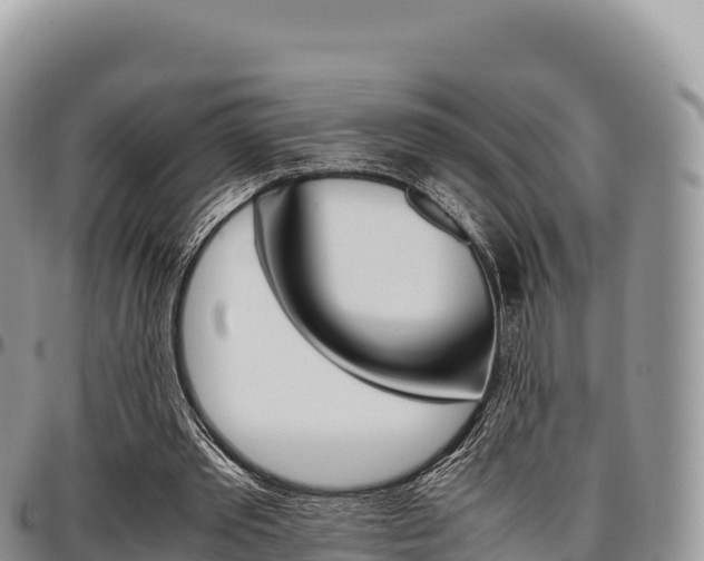 X0000097300389200802151127