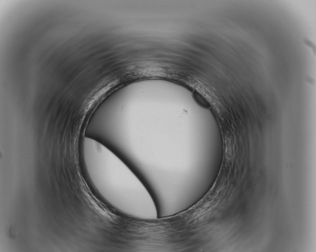 X0000097300390200802151127