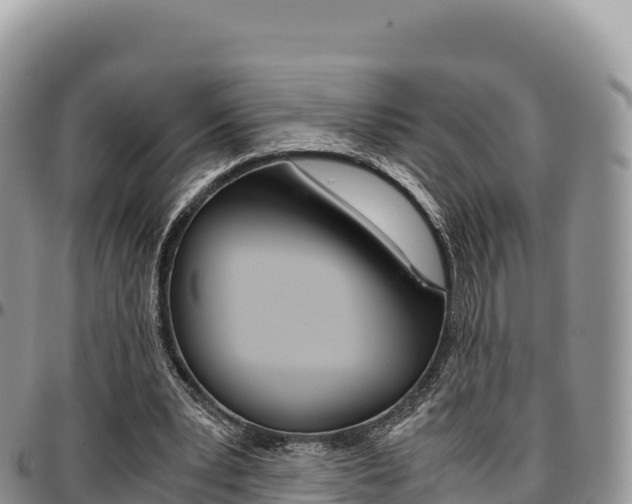 X0000097300391200802151127