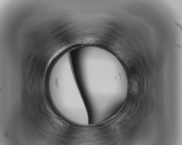 X0000097300392200802151127