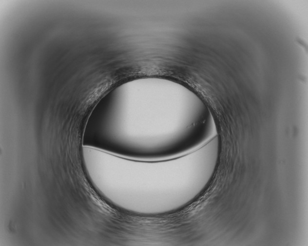 X0000097300393200802151127