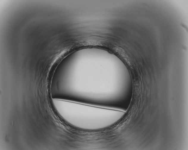 X0000097300395200802151127