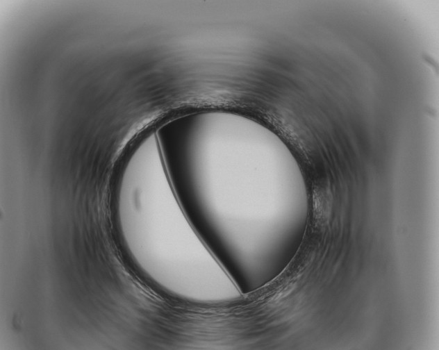 X0000097300396200802151127