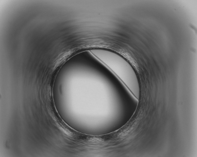 X0000097300397200802151127