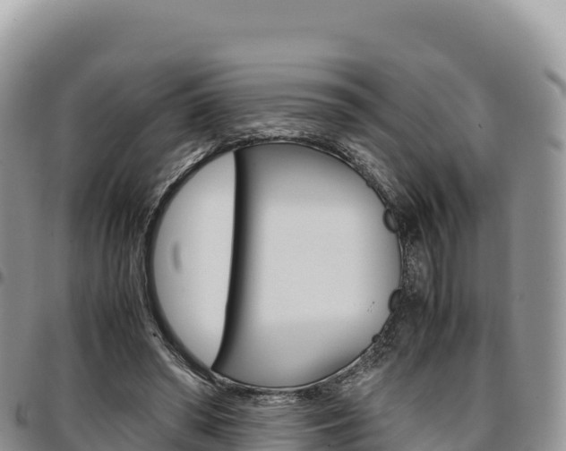 X0000097300398200802151127