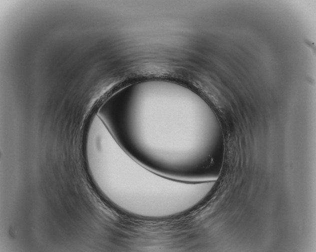 X0000097300399200802151127
