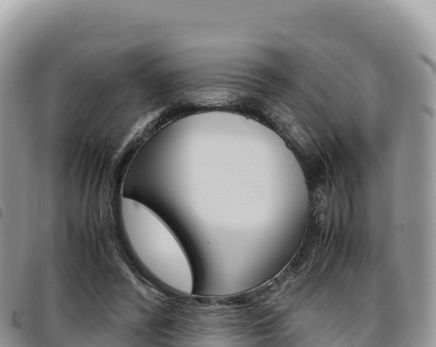 X0000097300400200802151127
