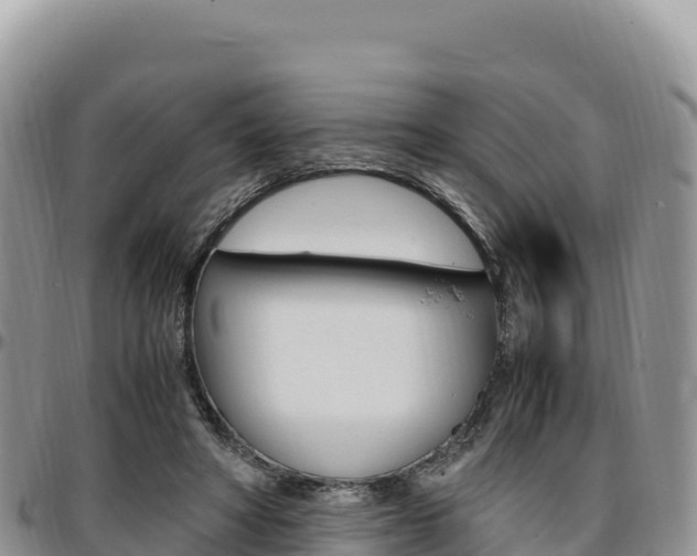 X0000097300402200802151127