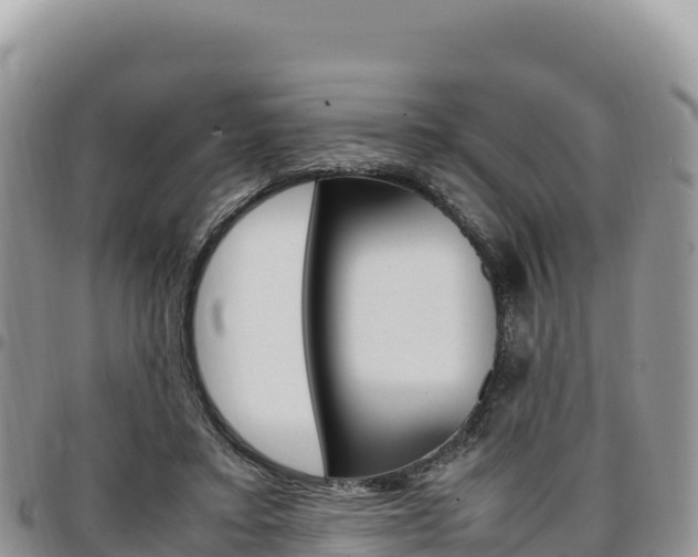 X0000097300403200802151127