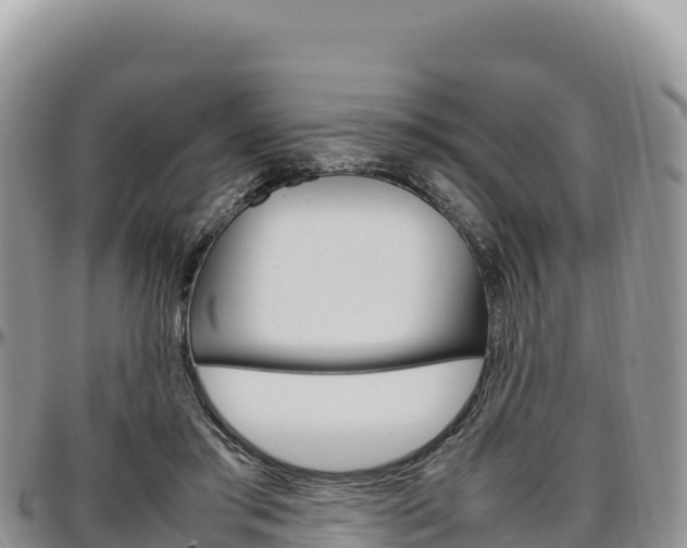 X0000097300405200802151127