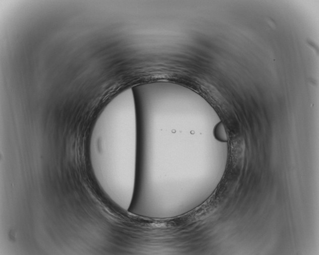 X0000097300406200802151127