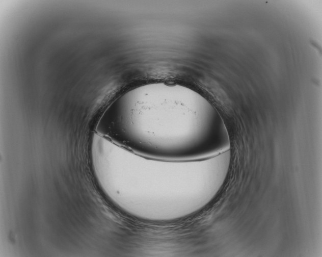X0000097300407200802151127
