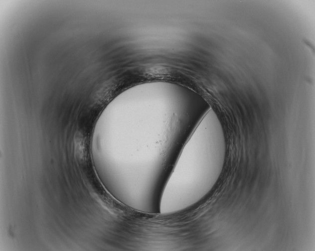 X0000097300408200802151127