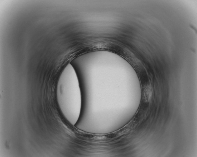 X0000097300410200802151127