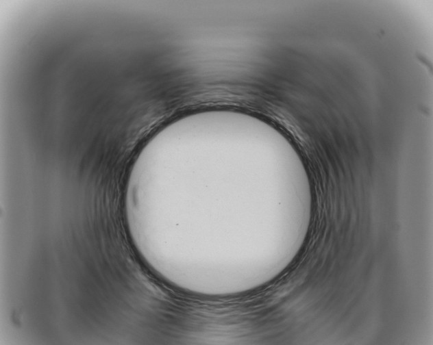 X0000097300411200802151127