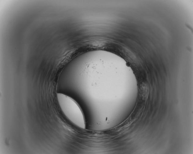 X0000097300412200802151127
