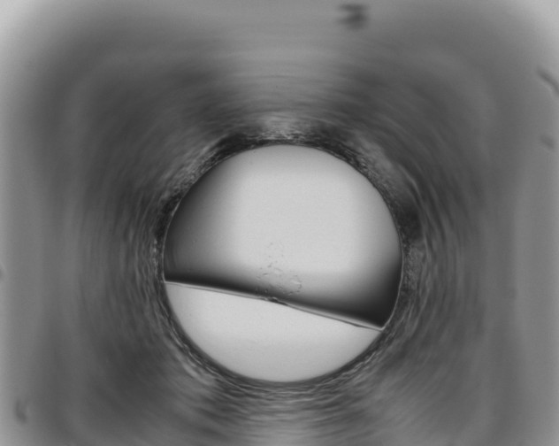 X0000097300413200802151127