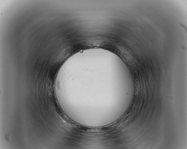 X0000097300414200802151127