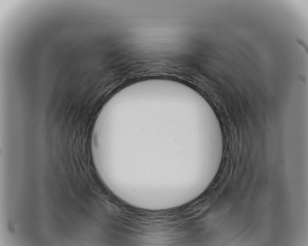 X0000097300415200802151127