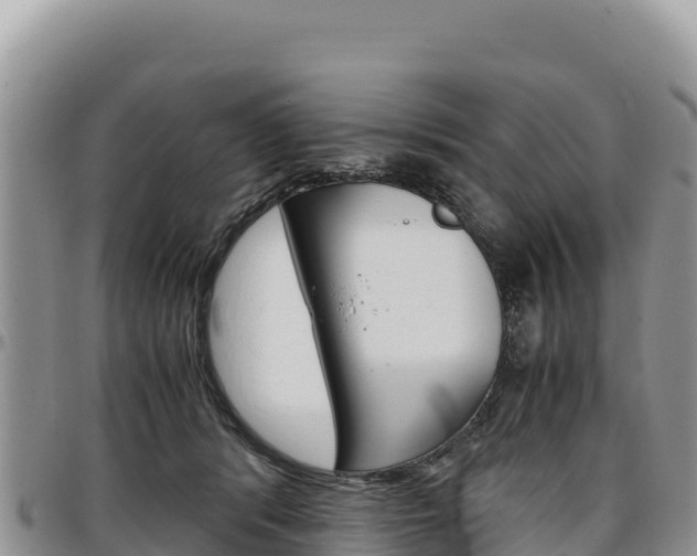 X0000097300416200802151127