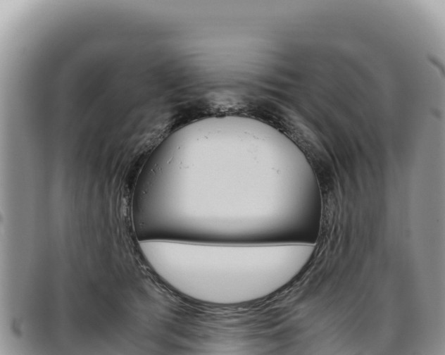 X0000097300417200802151127
