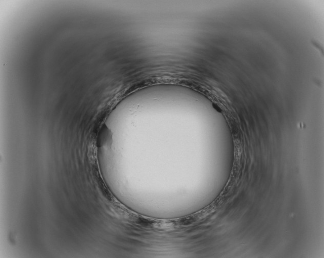 X0000097300419200802151127