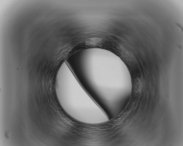 X0000097300420200802151127