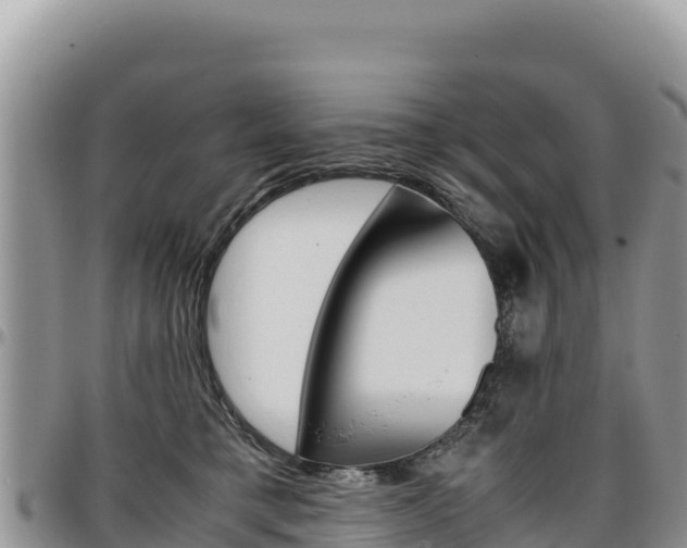 X0000097300421200802151127