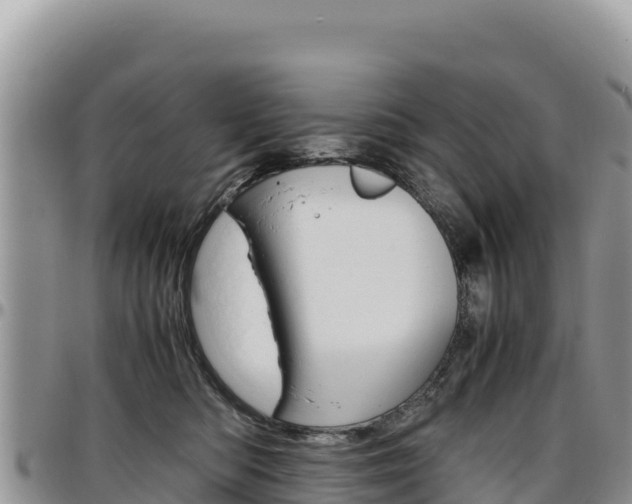 X0000097300422200802151127